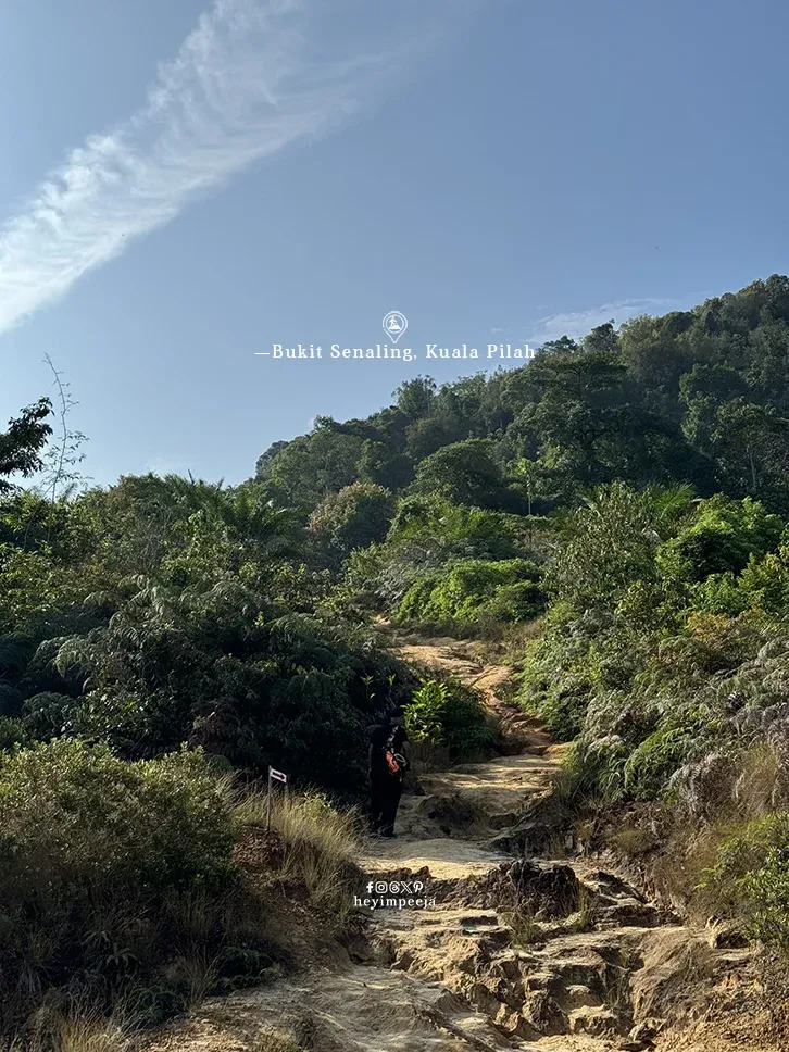 Hiking Bukit Senaling Kuala Pilah