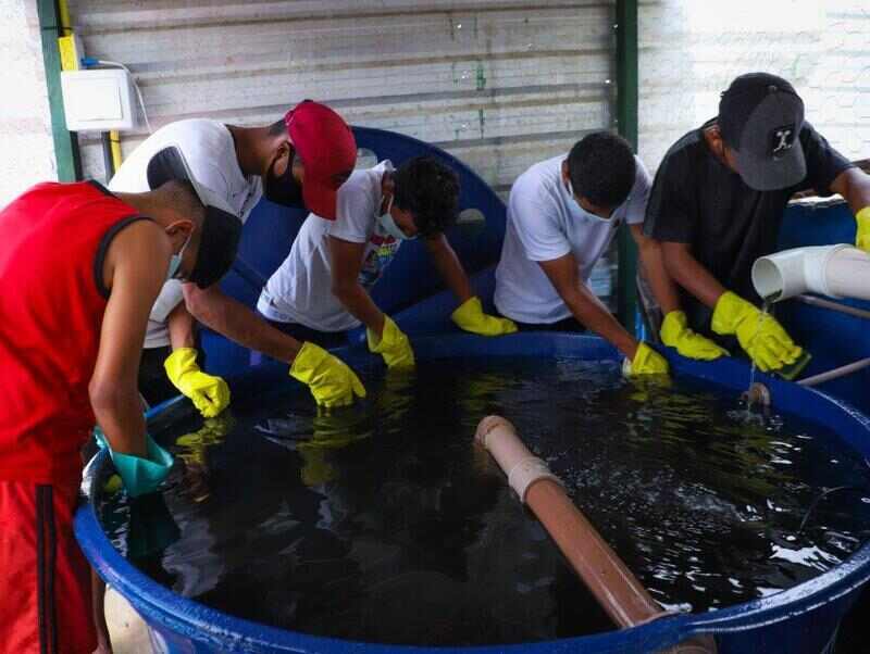 Em um dos abrigos temporários para refugiados e migrantes venezuelanos em Boa Vista, Julio Bastardo acorda para se encontrar com os amigos e realizar sua nova atividade favorita: cuidar do projeto de aquaponia do abrigo.