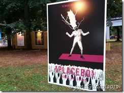 Placebo, Rock en Seine 2012 (3)