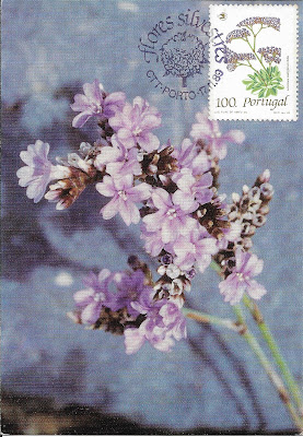 Carte Maximum Limonium Portugal