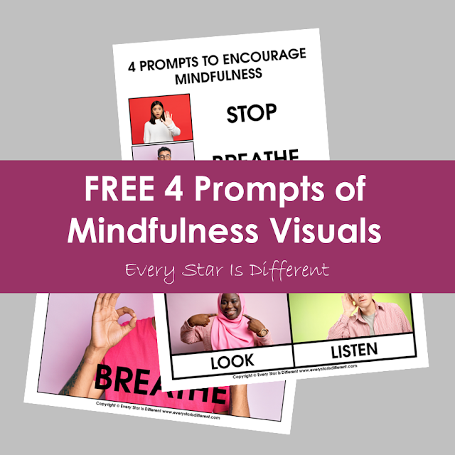 FREE Four Prompts to Mindfulness Visuals