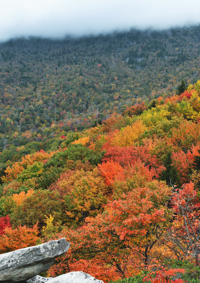 The Flying Clubhouse: Rough Ridge in October