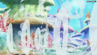 ワンピースアニメ 魚人島編 528話 | ONE PIECE Episode 528