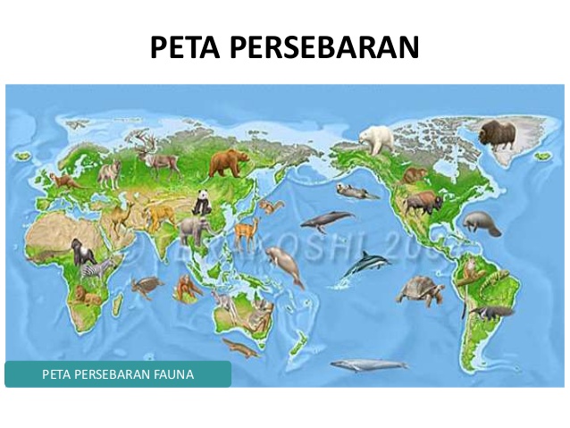  wilayah  persebaran fauna  di  dunia