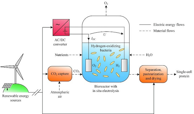 Scientists create proteinaceous food from electricity which could be the answer to the world hunger