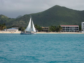 New St Maarten neighbor, Hogfish Maximus