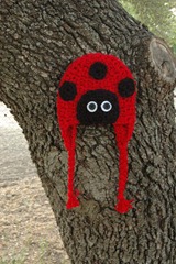 more projects 025