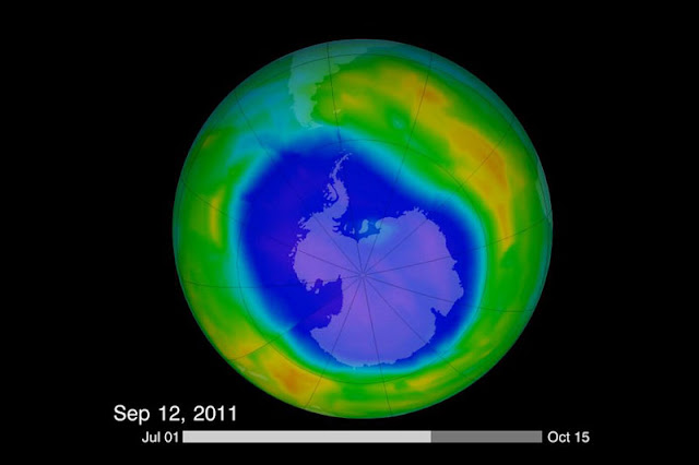 what is ozone layer