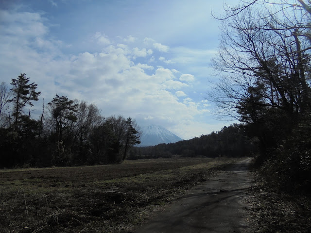 牧草地と大山