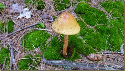 mansell mountain hike_042