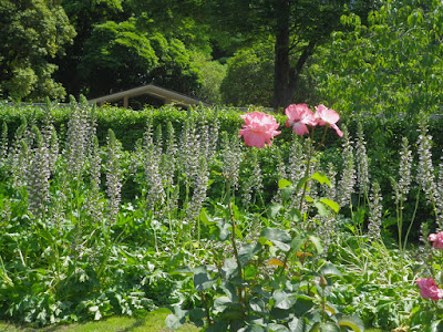 日比谷公園の洋風庭園