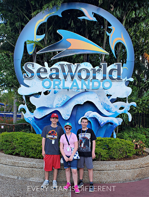 Visit to Sea World