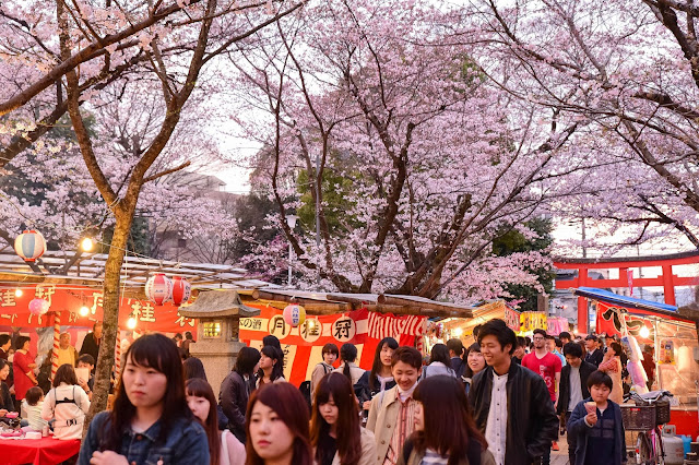 日本京都平野神社櫻花 日本人都出來了