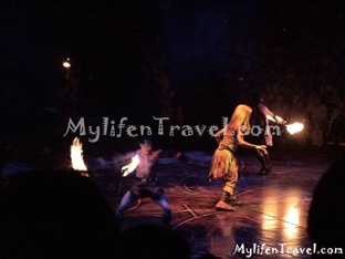 Lion King Disneyland HK 23