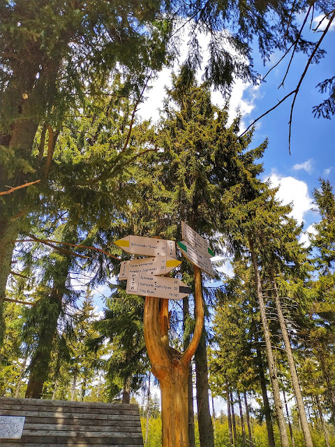 Kozia Równia, trasa na Wielką Sowę, góry w okolicy Wrocławia