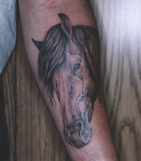 Animal Tattoo The Concept Of Horse Tattoo On The Leg