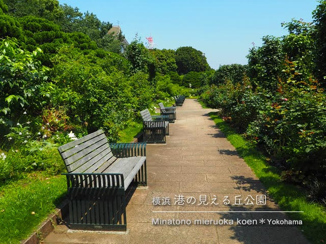 [横浜] 港の見える丘公園の沈床花壇