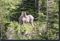 IMG_8763 IMG_8763