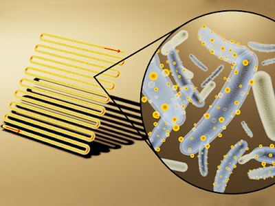 Artificial Photosynthesis through semiconductor nanocrystals