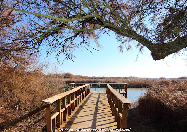 Parque Nacional Tablas de Daimiel