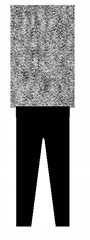 black print shirt