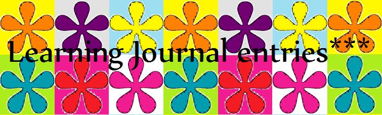 my learning journal entries***