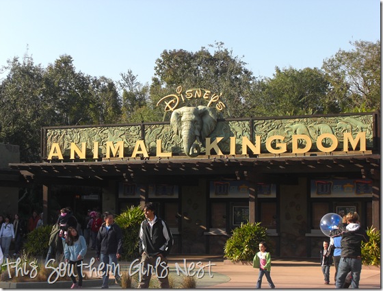 february 2010 062