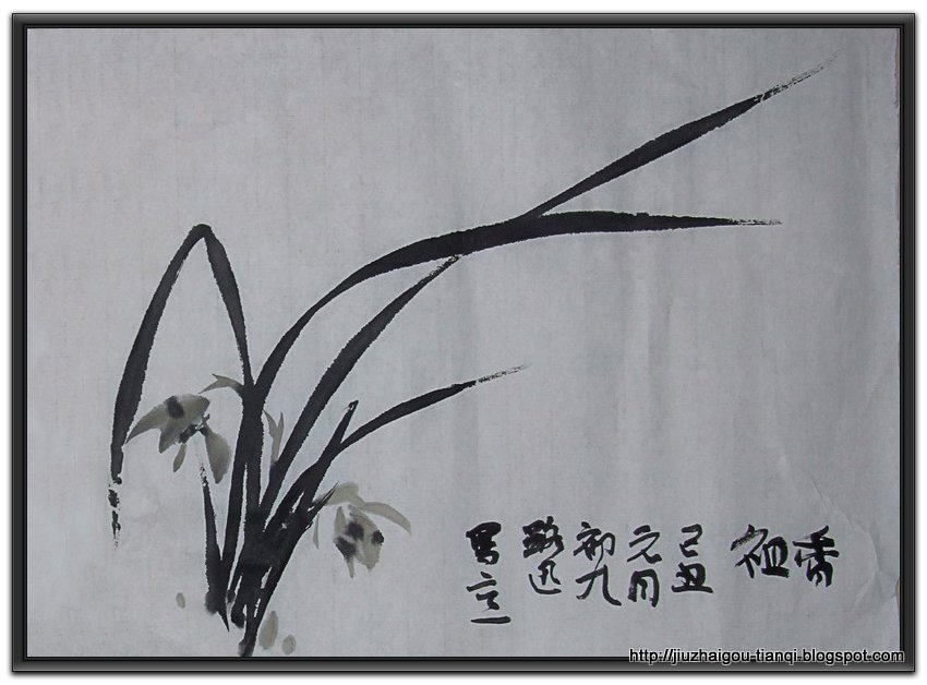 兰花-花:KZ09020512084589