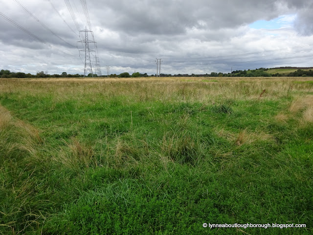 Lammas Meadow from Meadow Lane in the direction of Dishley, taken 1 August 2023