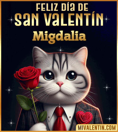 Gif con Nombre de feliz día de San Valentin Migdalia