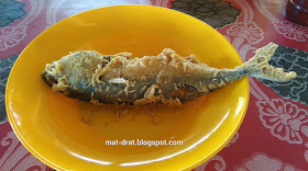 Ikan Celup Tepung Pok Nong