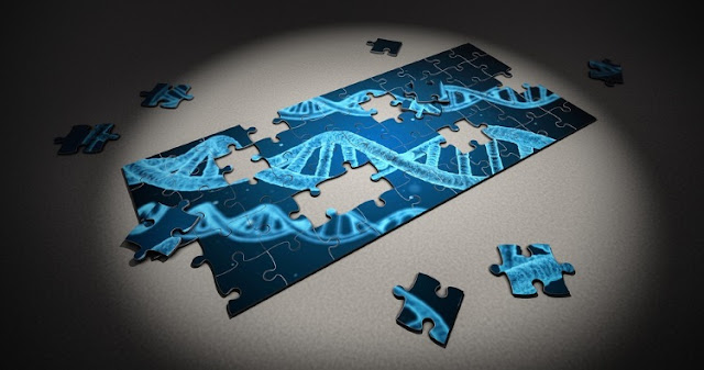 Puzzle of DNA is incomplete but new discoveries continue to refute evolution and support special creation.