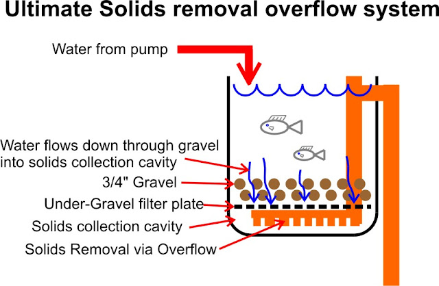 AquaMonster Aquaponics Blog: New SLO design, Video tour