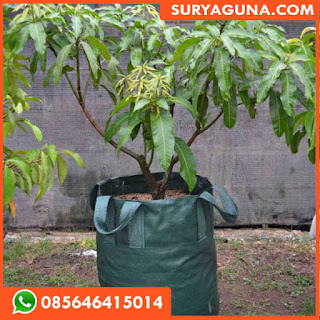 planter bag dari suryaguna 085646415014