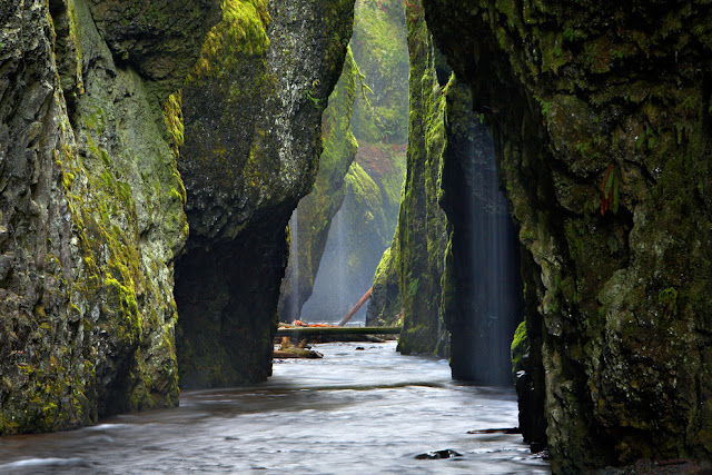 Oneonta Gorge, Oregon