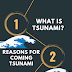 Download PDF essay on tsunami 500 words