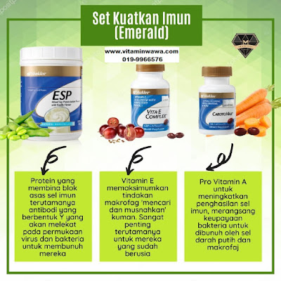 Set Imun Shaklee, Set Kuatkan Imun Shaklee, SET TINGKATKAN SISTEM IMUN SHAKLEE, Set Perlindungan Imun shaklee, Set Perlindungan Imun Shaklee Cara tingkatkan imuniti badan, cara kuatkan imuniti, vitamin shaklee untuk imun, vitamin shaklee untuk tingkatkan imuniti, supplemen shaklee untuk kuatkan imun, supplemen shaklee untuk tingkatkan imuniti, set tenaga premium shaklee, set tenaga shaklee, set kecergasan tenaga shaklee, Nutrien untuk tenaga shaklee, nutrisi shaklee untuk tenaga, vitamin shaklee untuk tenga, vitamin untuk kecergasan badan suplemen untuk tenaga shaklee supplement tambah tenaga vitamin untuk tenaga di farmasi vitamin untuk kecergasan badan suplemen untuk tenaga shaklee supplement tambah tenaga vitamin untuk tenaga di farmasi