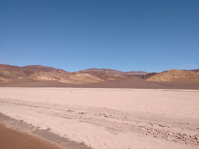 Parque  Nacional Pan de Azúcar, Región de Atacama, Chile