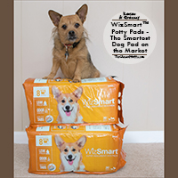 Wizsmart potty pads giveaway