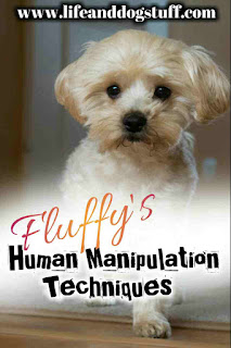 Fluffy's Human Manipulation Techniques