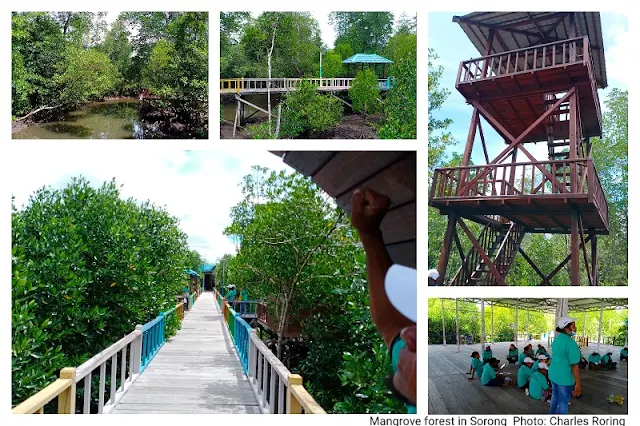 mangrove park of Sorong city