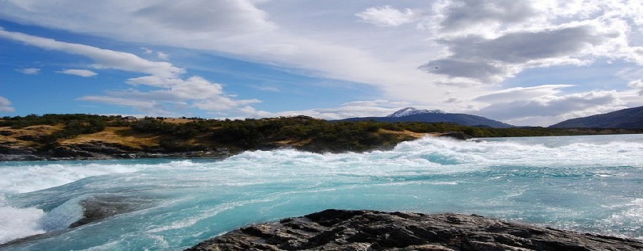 MOVIMIENTO ECOLOGISTA DE ANCUD