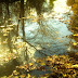 Autumn Water Wallpaper