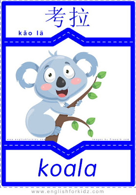 Koala - English-Chinese flashcards for wild animals topic