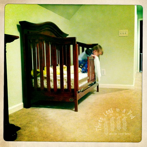 Henry New Bed 04-19-2011 W