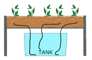 model-wick-system-hidroponik