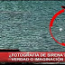 FOTOGRAFÍAN POSIBLE SIRENA DE OTRA DIMENSIÓN - ¿EXISTEN?