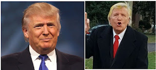 Donald Trump look alike