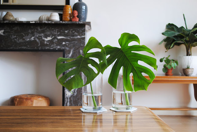 monstera blad vaas