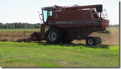 combine peas 052